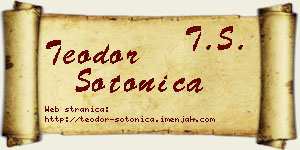Teodor Sotonica vizit kartica